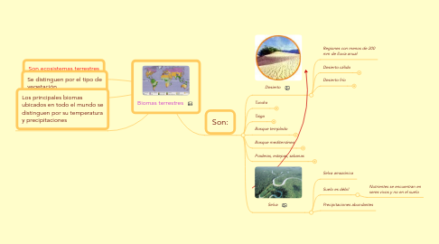 Mind Map: Biomas terrestres