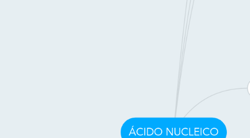 Mind Map: ÁCIDO NUCLEICO