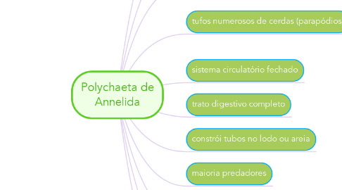 Mind Map: Polychaeta de Annelida