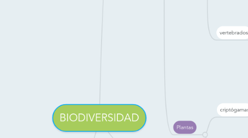 Mind Map: BIODIVERSIDAD