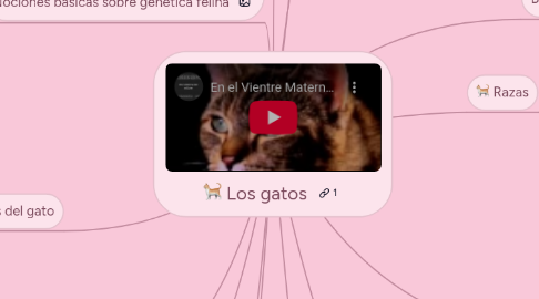 Mind Map: Los gatos