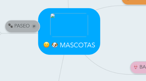 Mind Map: MASCOTAS