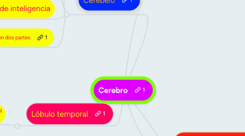 Mind Map: Cerebro