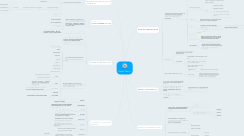 Mind Map: Project Plan