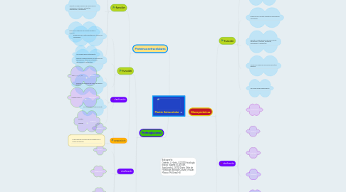 Mind Map: Matriz Extracelular