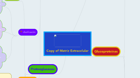 Mind Map: Copy of Matriz Extracelular