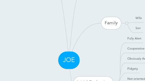 Mind Map: JOE