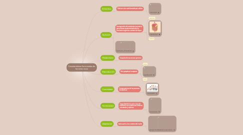 Mind Map: Caracteristicas funciomales de los seres vivos