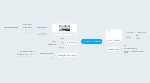 Mind Map: LAGUNA DE SONSO