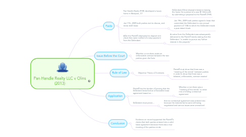 Mind Map: Pan Handle Realty LLC v Olins (2013)