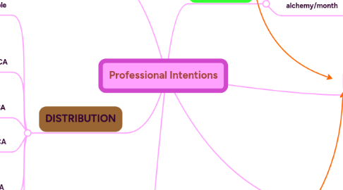 Mind Map: Professional Intentions