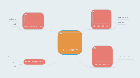 Mind Map: EL ABORTO