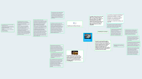 Mind Map: AUTOPSIA