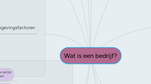 Mind Map: Wat is een bedrijf?