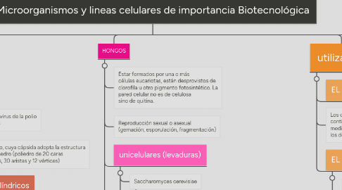 Mind Map: Microorganismos y lineas celulares de importancia Biotecnológica