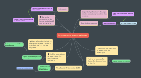 Mind Map: Conocimiento de la Anatomía Humana