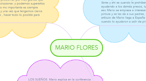 Mind Map: MARIO FLORES