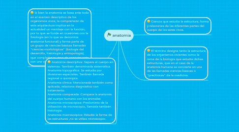 Mind Map: anatomia