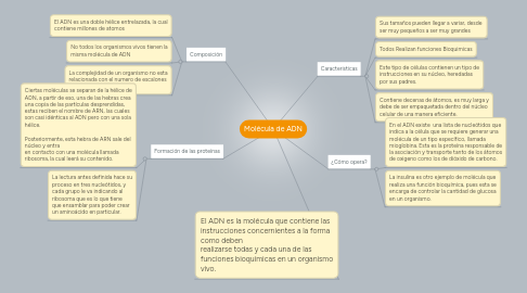 Mind Map: Molécula de ADN