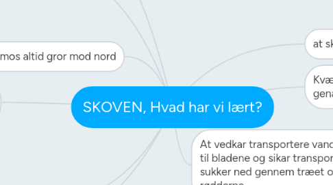 Mind Map: SKOVEN, Hvad har vi lært?