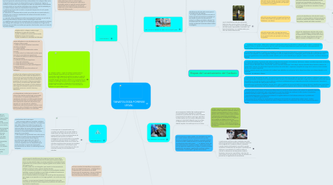 Mind Map: TANATOLOGÍA FORENSE LEGAL.