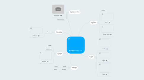 Mind Map: Profecional