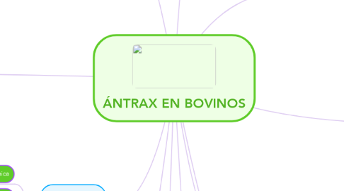 Mind Map: ÁNTRAX EN BOVINOS