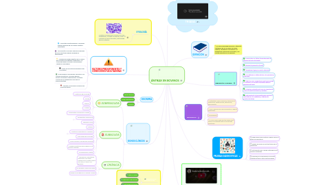 Mind Map: ÁNTRAX EN BOVINOS