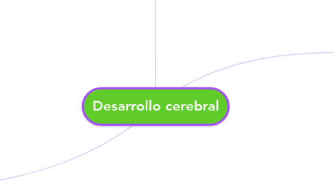 Mind Map: Desarrollo cerebral