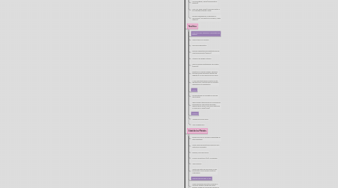 Mind Map: La Edad de Piedra