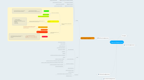 Mind Map: Copia de Adquisiciones