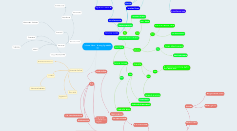 Mind Map: Culture Wars - Tearing Apart the US