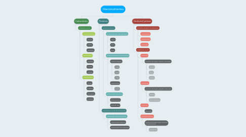 Mind Map: Macronutrientes