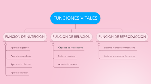 Mind Map: FUNCIONES VITALES