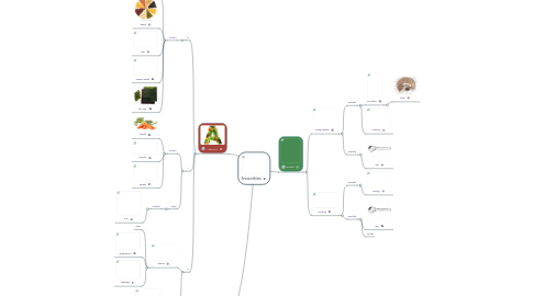 Mind Map: Smoothies