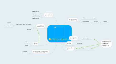 Mind Map: CARLOS LINEAL