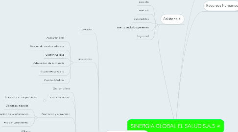 Mind Map: SINERGIA GLOBAL EL SALUD S.A.S