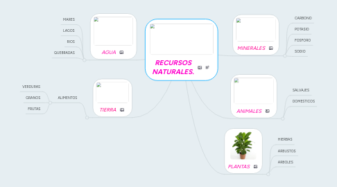 Mind Map: RECURSOS NATURALES.