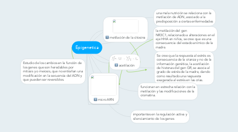 Mind Map: Epigenetica