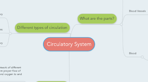 Mind Map: Circulatory System
