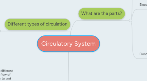 Mind Map: Circulatory System