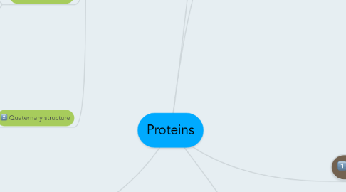 Mind Map: Proteins