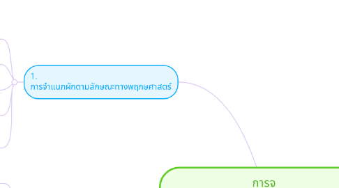 Mind Map: การจ าแนกประเภทของผักออกเป็นประเภทต่างๆ