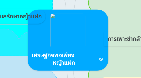 Mind Map: เศรษฐกิจพอเพียง หญ้าแฝก