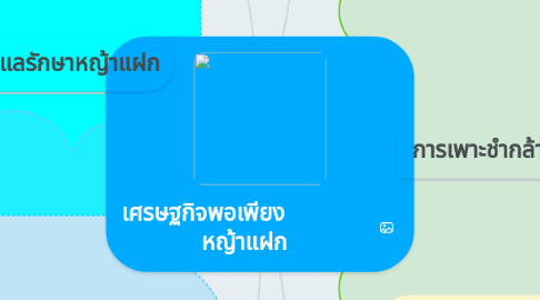 Mind Map: เศรษฐกิจพอเพียง                หญ้าแฝก