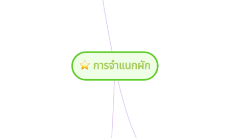 Mind Map: การจำแนกผัก