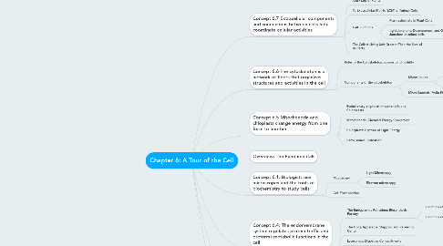 Mind Map: Chapter 6: A Tour of the Cell