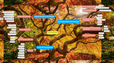 Mind Map: ИНФОРМАЦИЯ