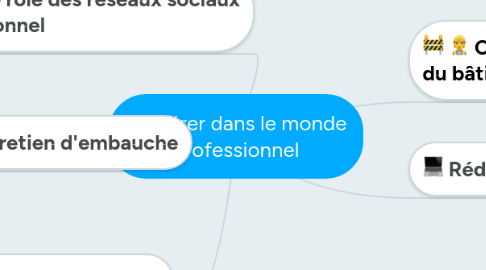 Mind Map: S'insérer dans le monde professionnel