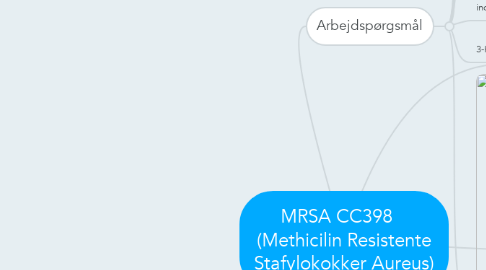 Mind Map: MRSA CC398    (Methicilin Resistente Stafylokokker Aureus)